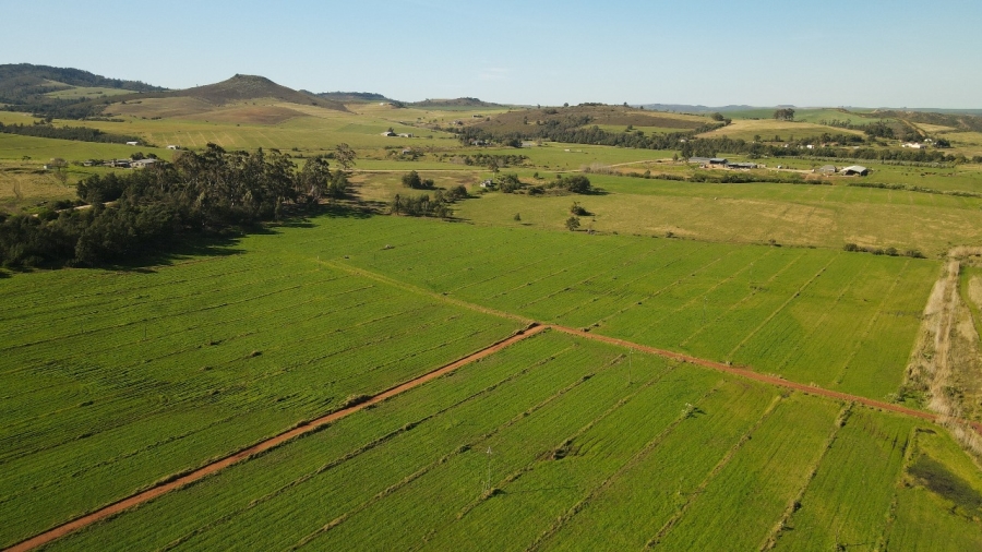 6 Bedroom Property for Sale in Riversdale Rural Western Cape